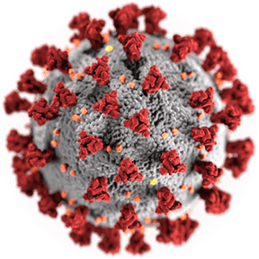 coronavirus-transparent